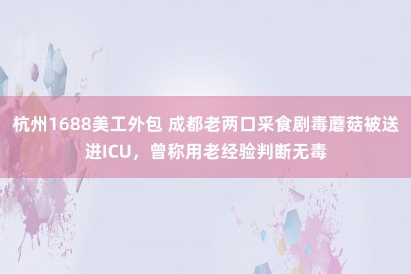 杭州1688美工外包 成都老两口采食剧毒蘑菇被送进ICU，曾称用老经验判断无毒